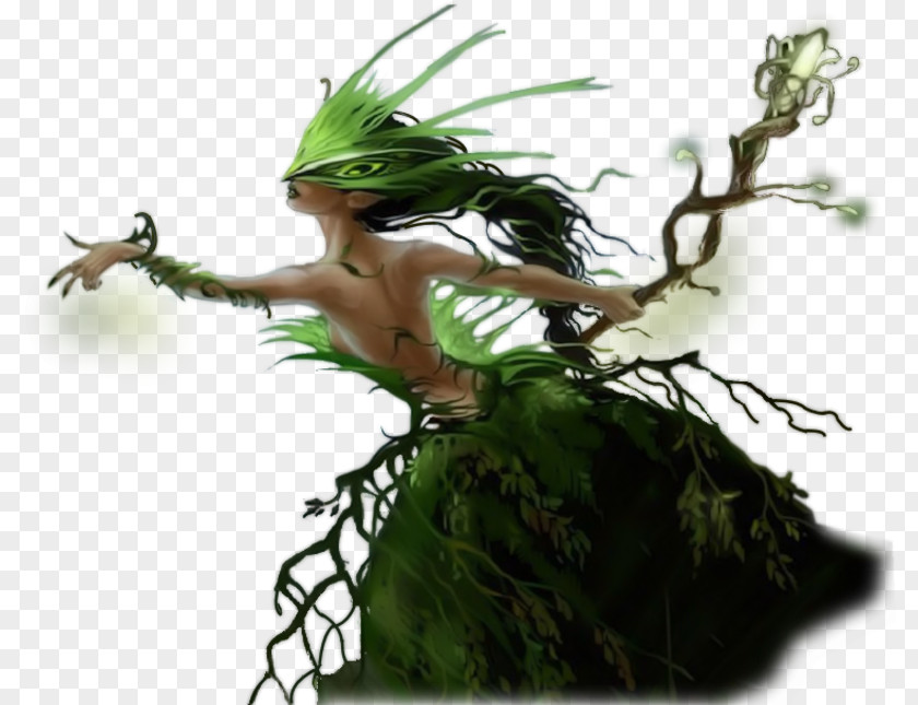Fairy Branch PNG