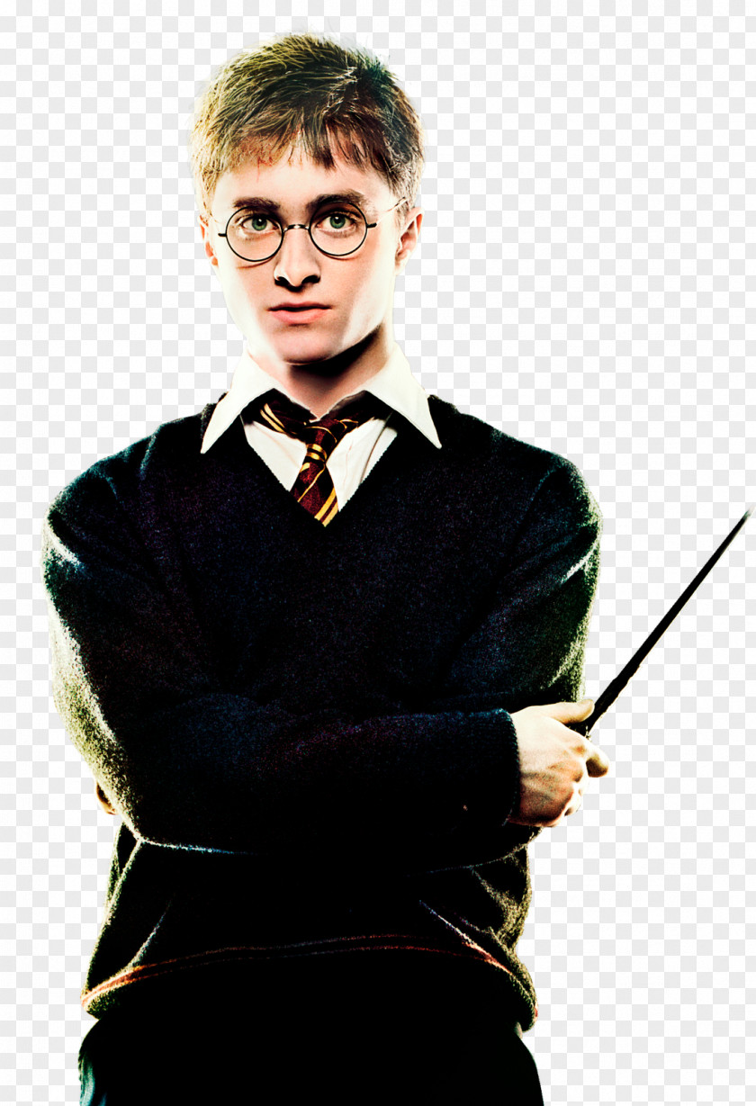 Harry Potter And The Order Of Phoenix Lord Voldemort PNG