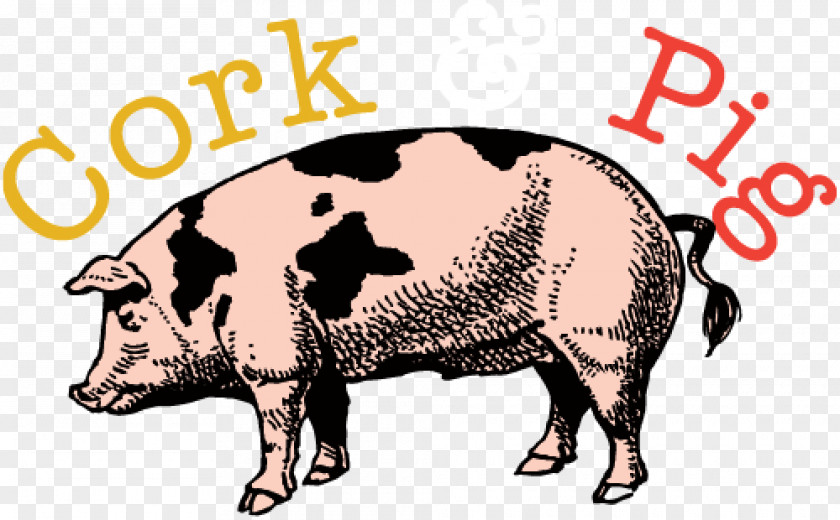 Pig Domestic Cork & Tavern Beer Pizza PNG