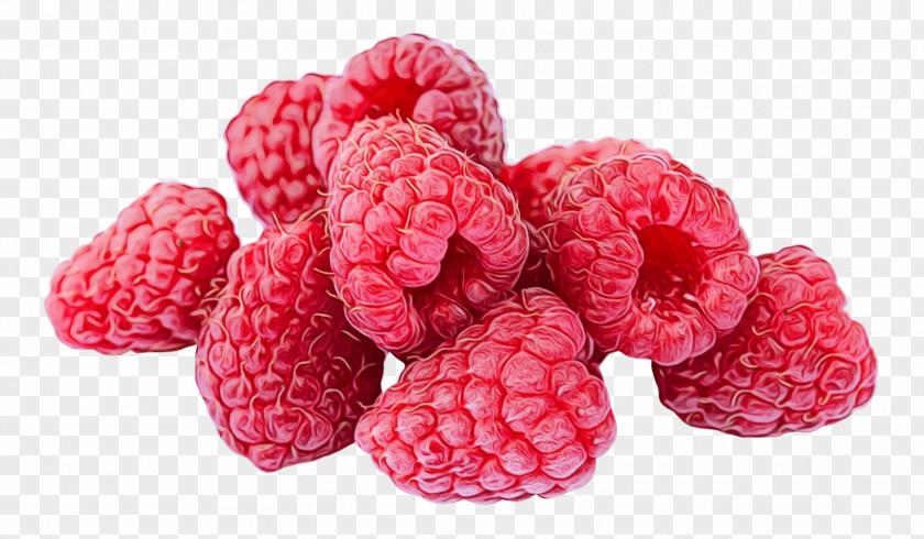 Plant Tayberry Raspberry Berry Fruit Food Frutti Di Bosco PNG