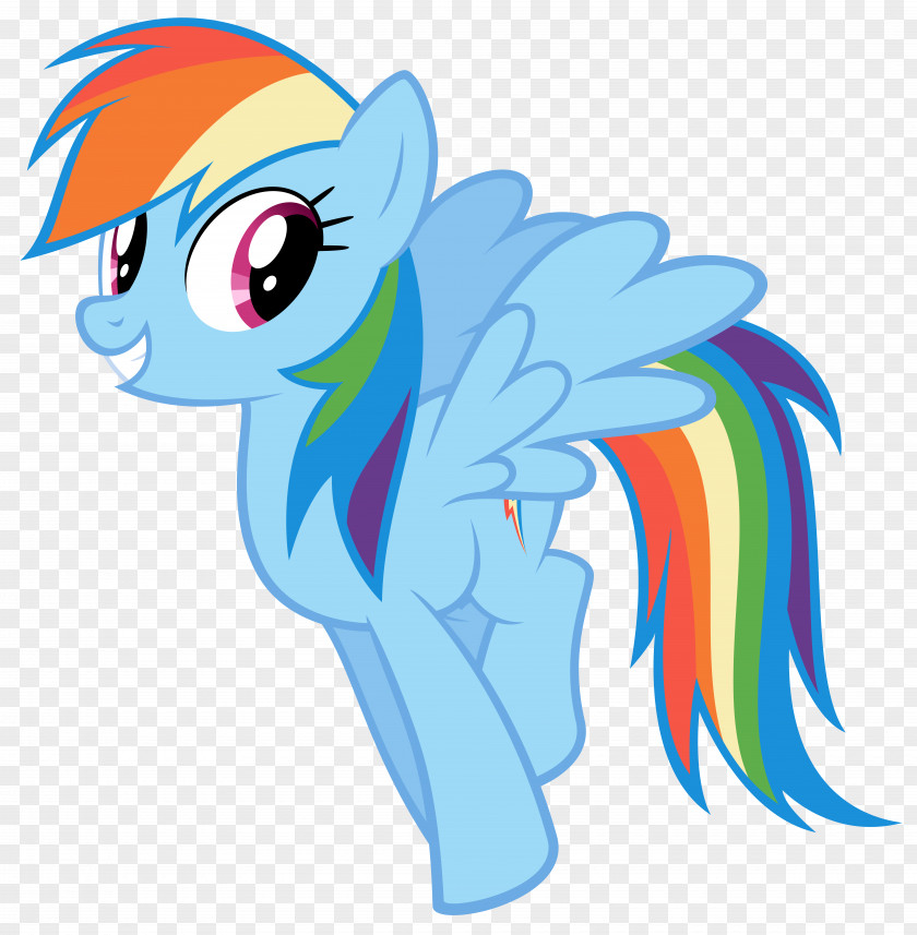 Rainbow Vector Dash Pony Rarity Twilight Sparkle Pinkie Pie PNG