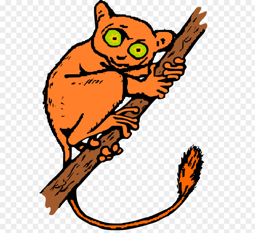 Tarsier Clip Art PNG