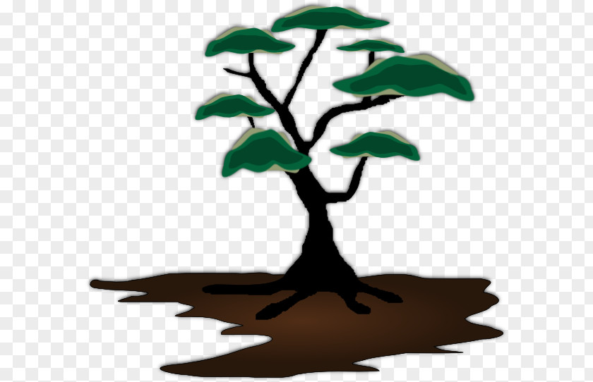 African Tree Trees Clip Art PNG