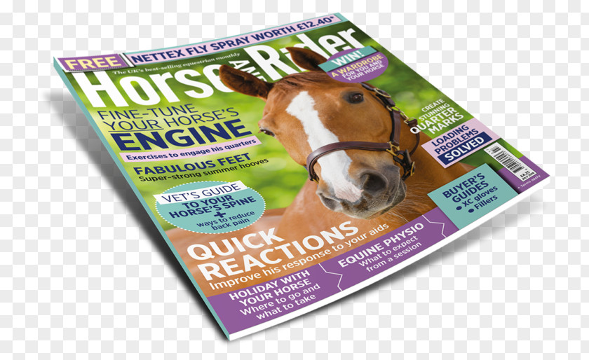 Best Seller Magazine Horse Equestrian Impulsion Lateral Movement Canter And Gallop PNG