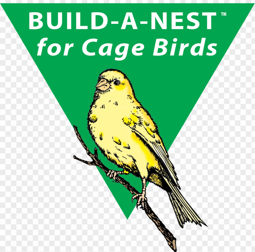 Nest Bird Parrot Parakeet Macaw PNG