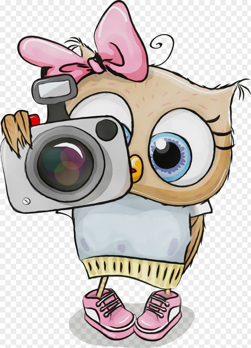 Owl Vector Graphics Illustration Image PNG