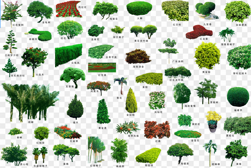 Plant Trees And Flower Beds Tree Garden Landscape Shrub PNG