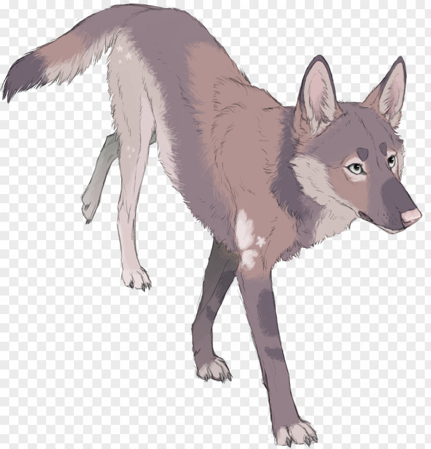Saarloos Wolfdog Red Fox Gray Wolf DeviantArt PNG