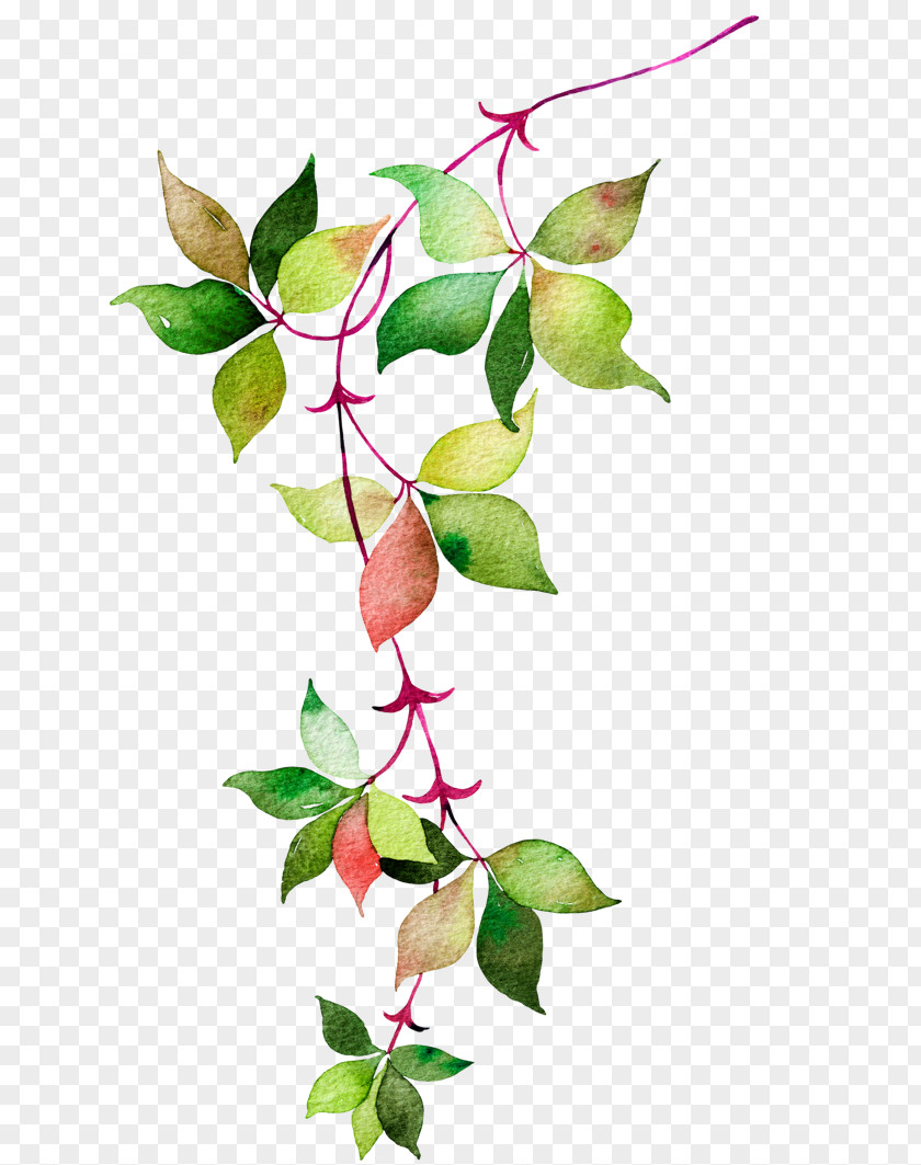 Watercolor Leaves Flower Euclidean Vector Icon PNG
