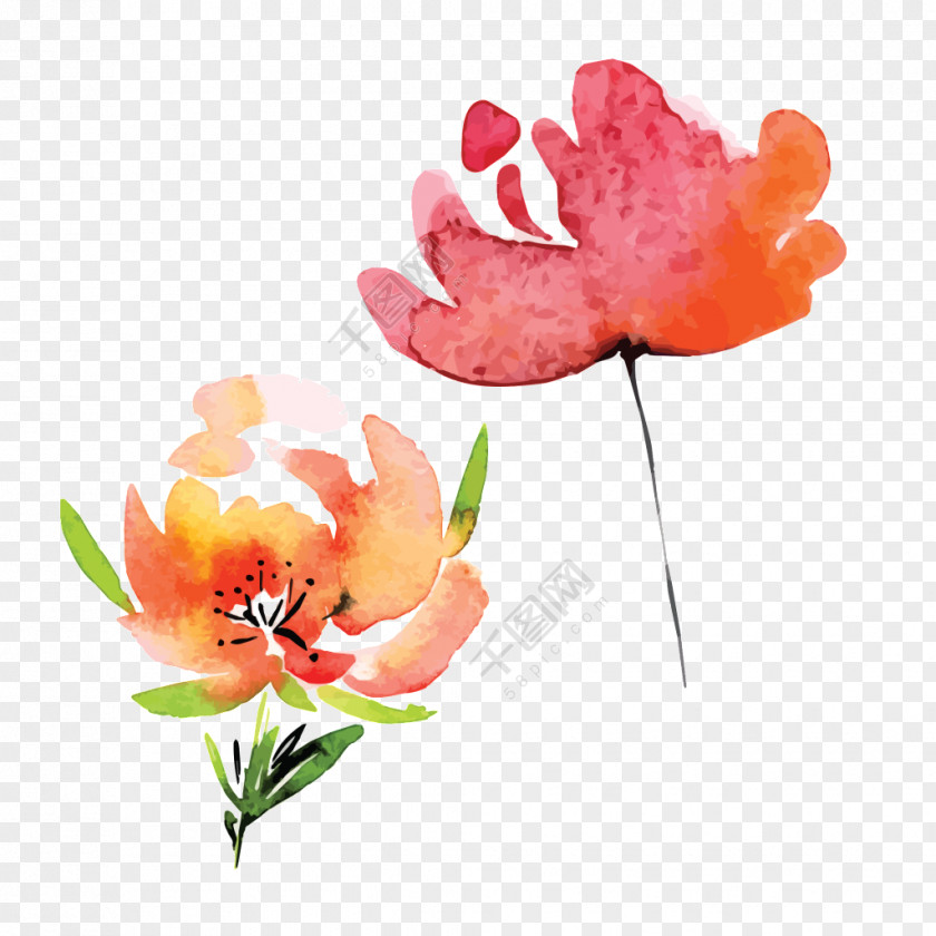 Advice Ornament Watercolor Painting Watercolor: Flowers Transparent Image PNG