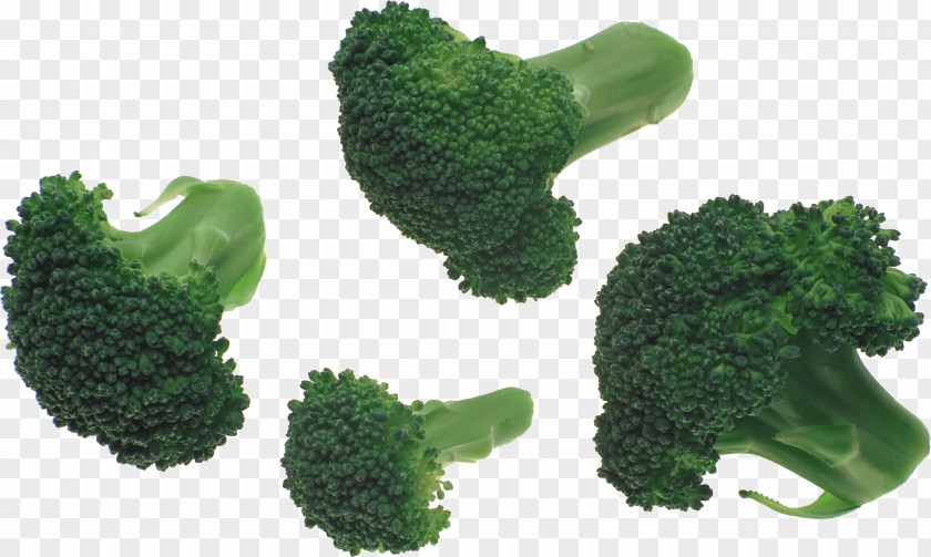 Broccoli Image Slaw PNG