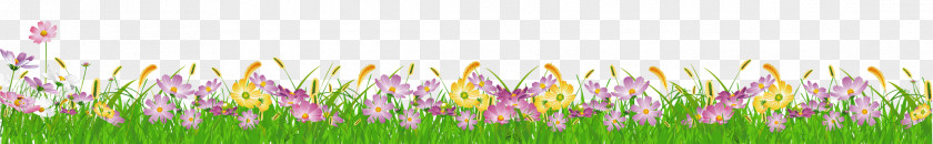 Flower Grass Cliparts Painting German Chamomile Clip Art PNG
