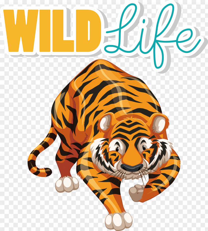 Tiger Cartoon Royalty-free Vector PNG