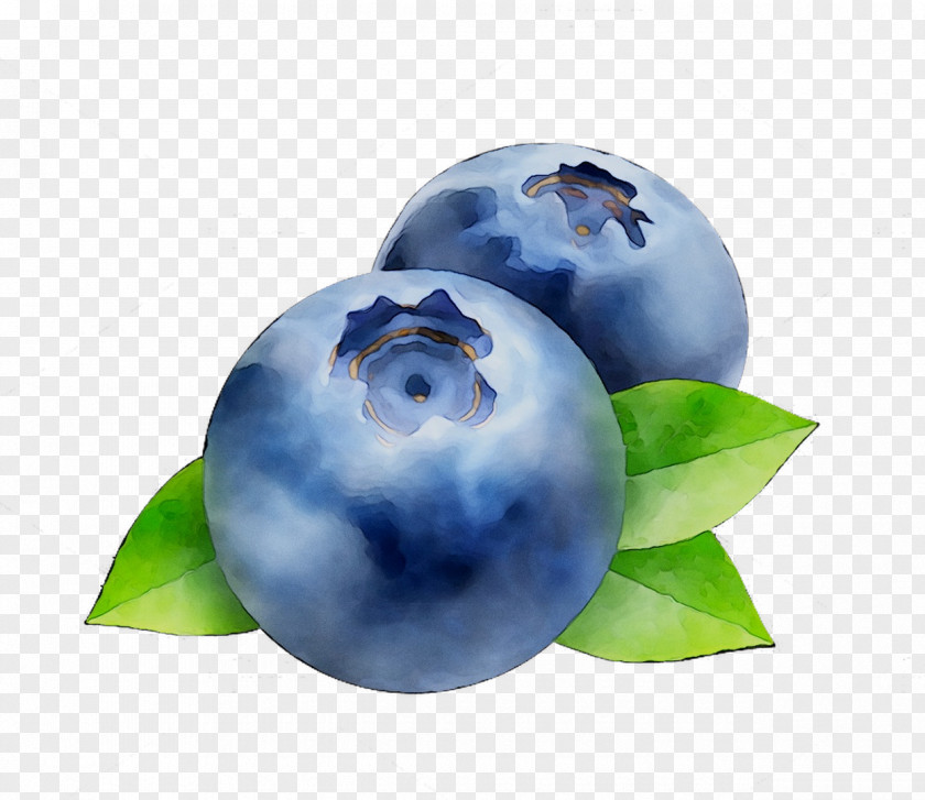 Bilberry Blueberry Sphere PNG