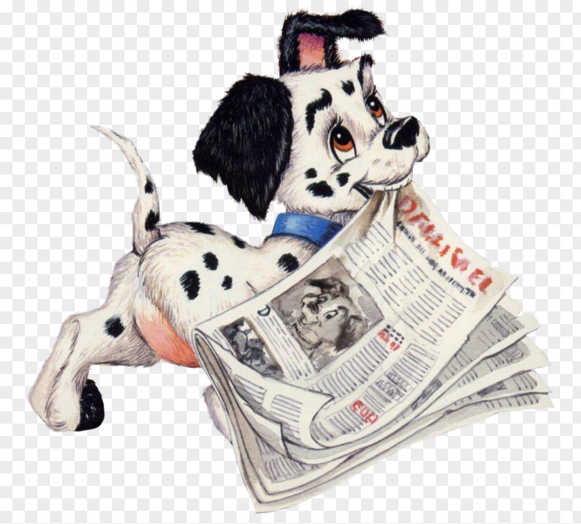 Chilly Dalmatian Dog Non-sporting Group Breed 101 Dalmatians PNG