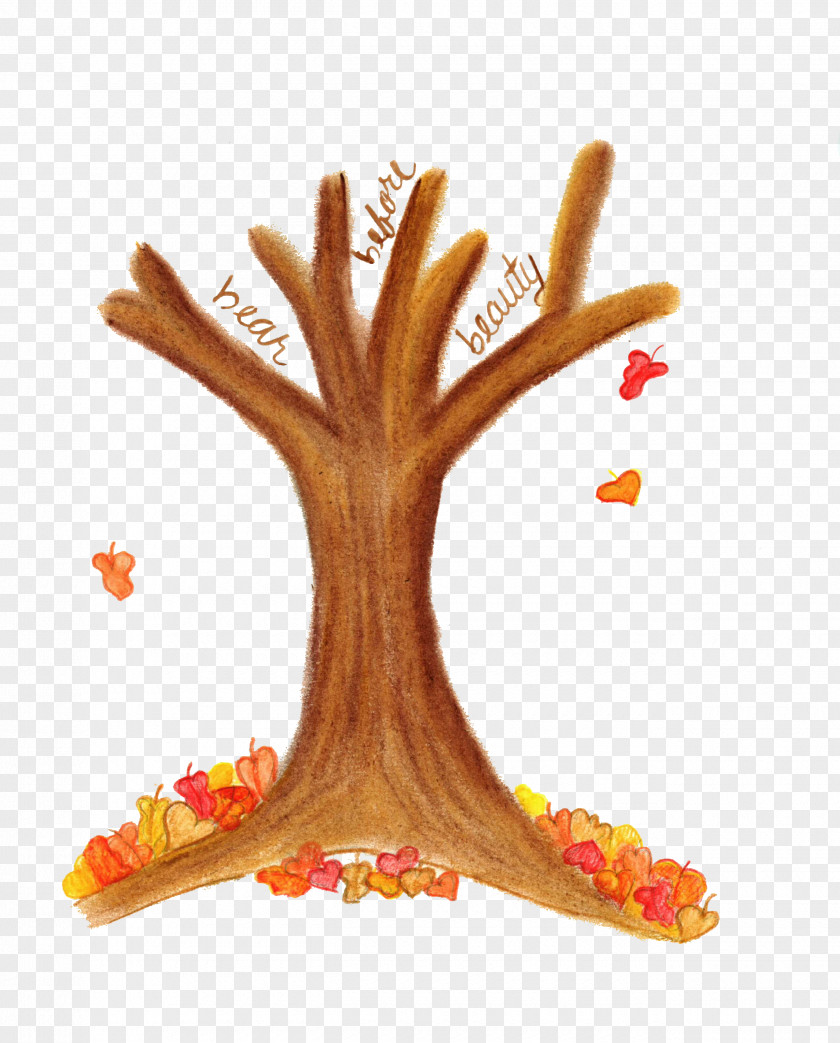 Coral Plant Tree Branch Hand Woody Finger PNG