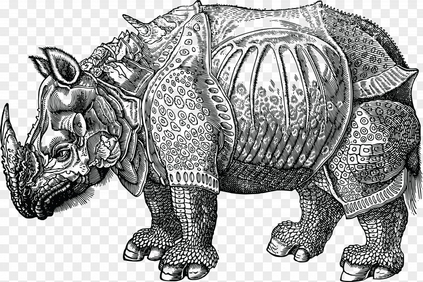 Epsdoublet Historia Animalium Dürer's Rhinoceros Zoology Francis Trigge Chained Library PNG