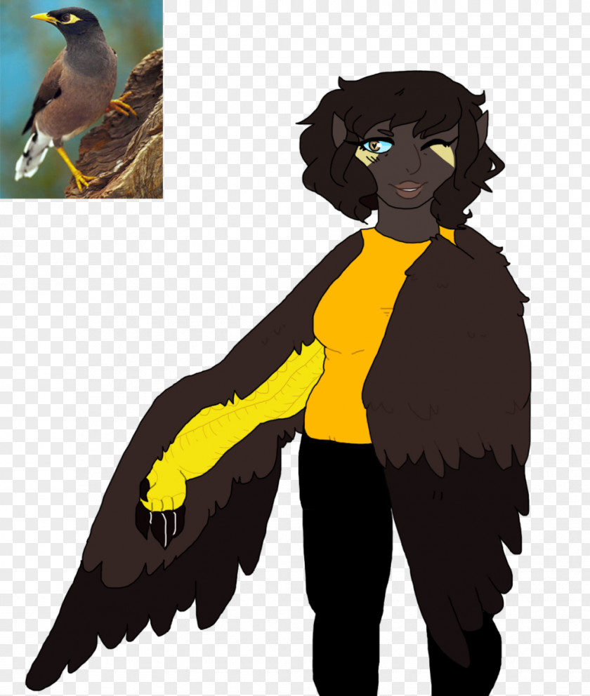 Mynah Drawing American Boy Song Cat PNG