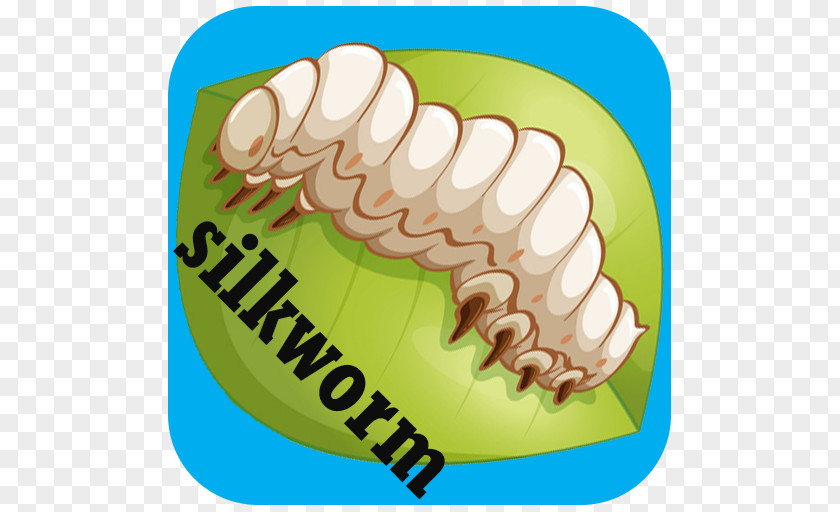 Silkworm Thorn Breeding Clip Art Human Tooth Organism PNG