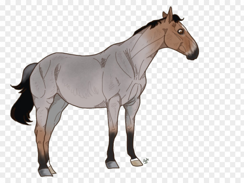 Valetines Mustang Foal Mare Pony Stallion PNG