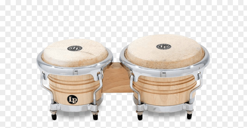 Drum Latin Percussion Bongo Conga PNG