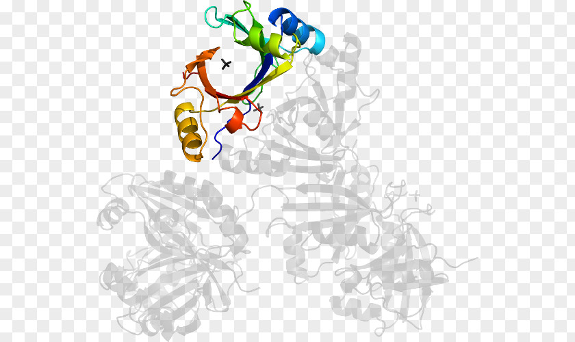 Methylmalonylcoa Clip Art Illustration Graphic Design Human Behavior PNG