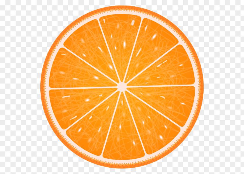 Orange Vector Graphics Clip Art Illustration Image PNG