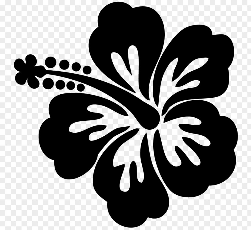 Painting Stencil Shoeblackplant Drawing Flower PNG