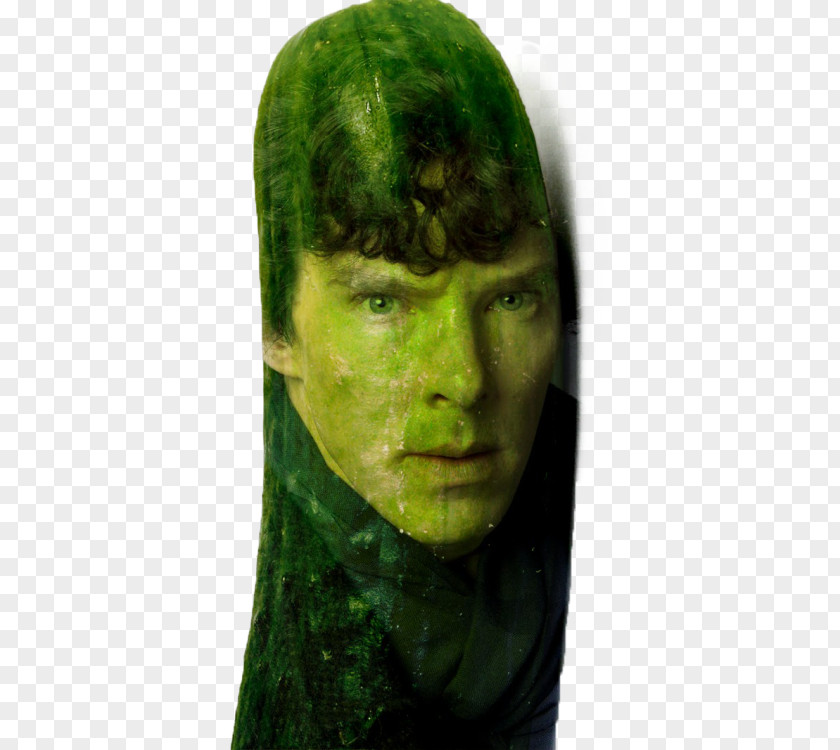 Sea Cucumber Benedict Cumberbatch Sherlock Smaug PNG