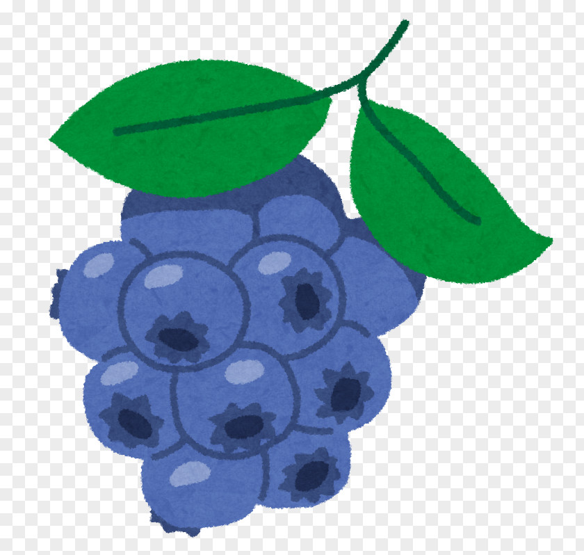 Blueberry Dietary Supplement Anthocyanin Lutein Bilberry PNG