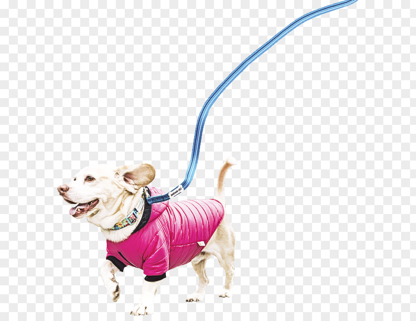 Dog Leash Pink Animal Figure Toy PNG