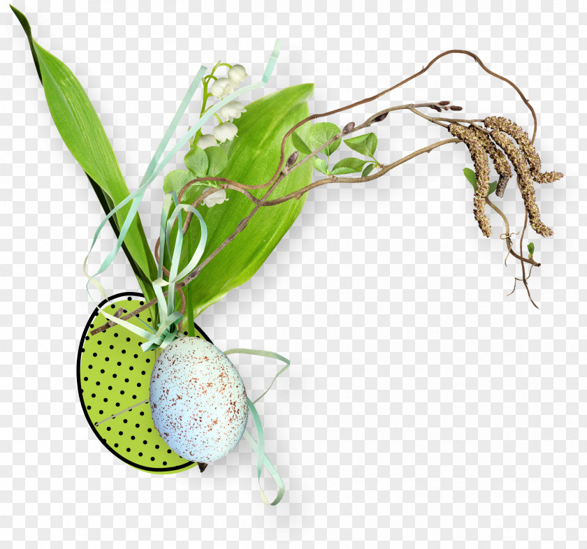 Eggs Lily Leaf Circle Clip Art PNG