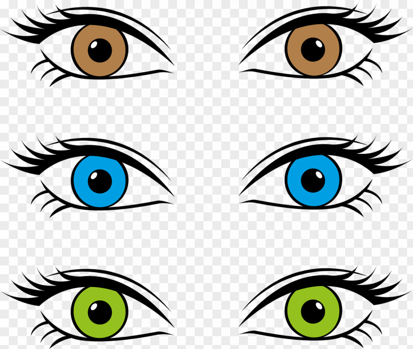 Eyes Eye Color Drawing PNG