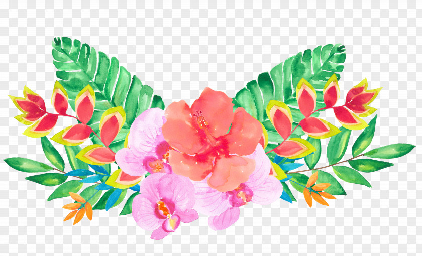 Floral Decoration Design Flower Illustration PNG