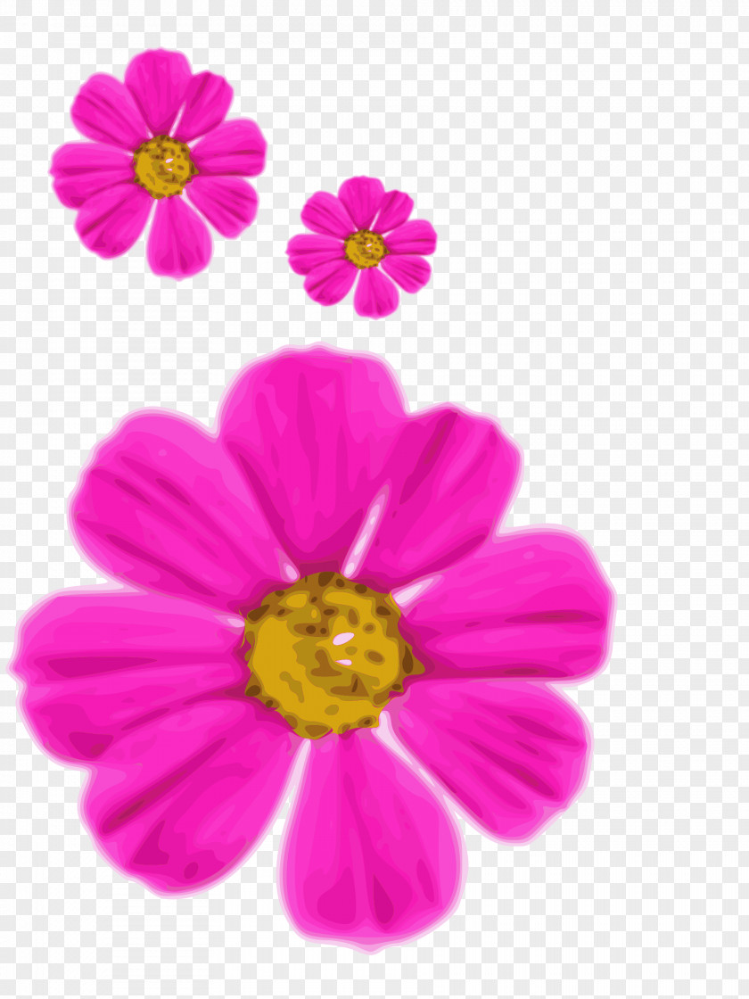 Purple Flower Pink Flowers Image File Formats Common Daisy PNG