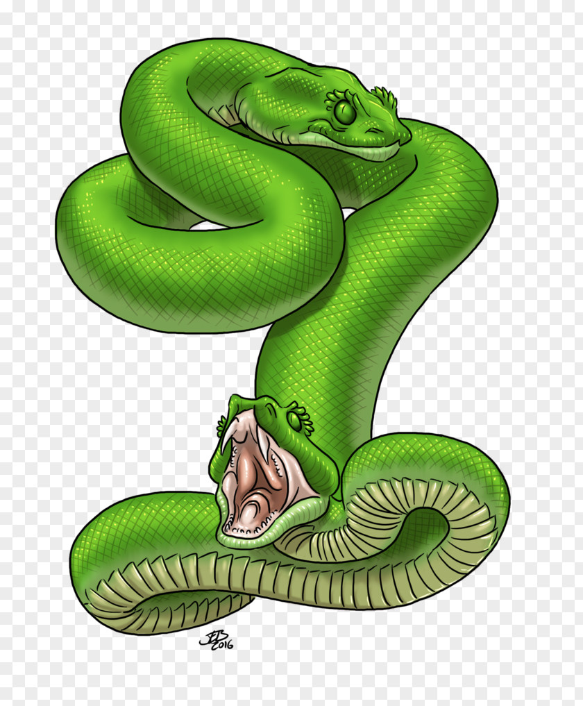 Dragon Serpent Amphisbaena Art Mythology PNG