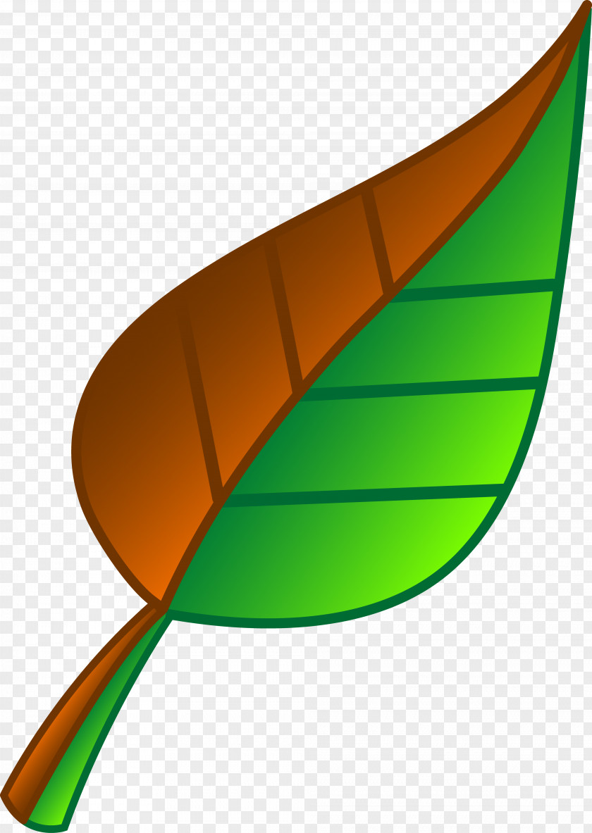 Green Leaf Clipart Clip Art PNG