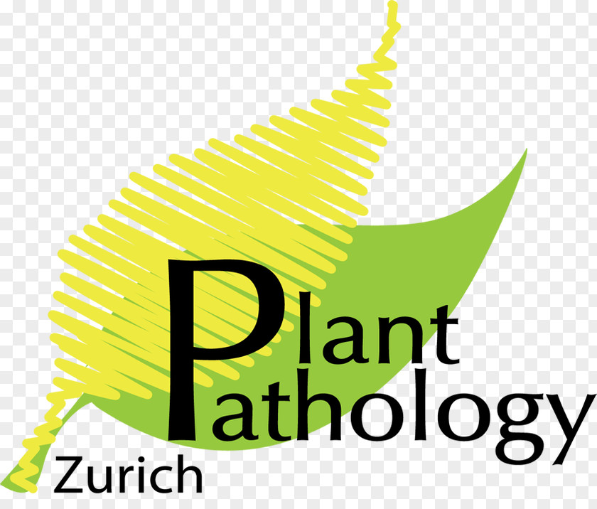 Leaf Plant Pathology ETH Zurich Plants PNG