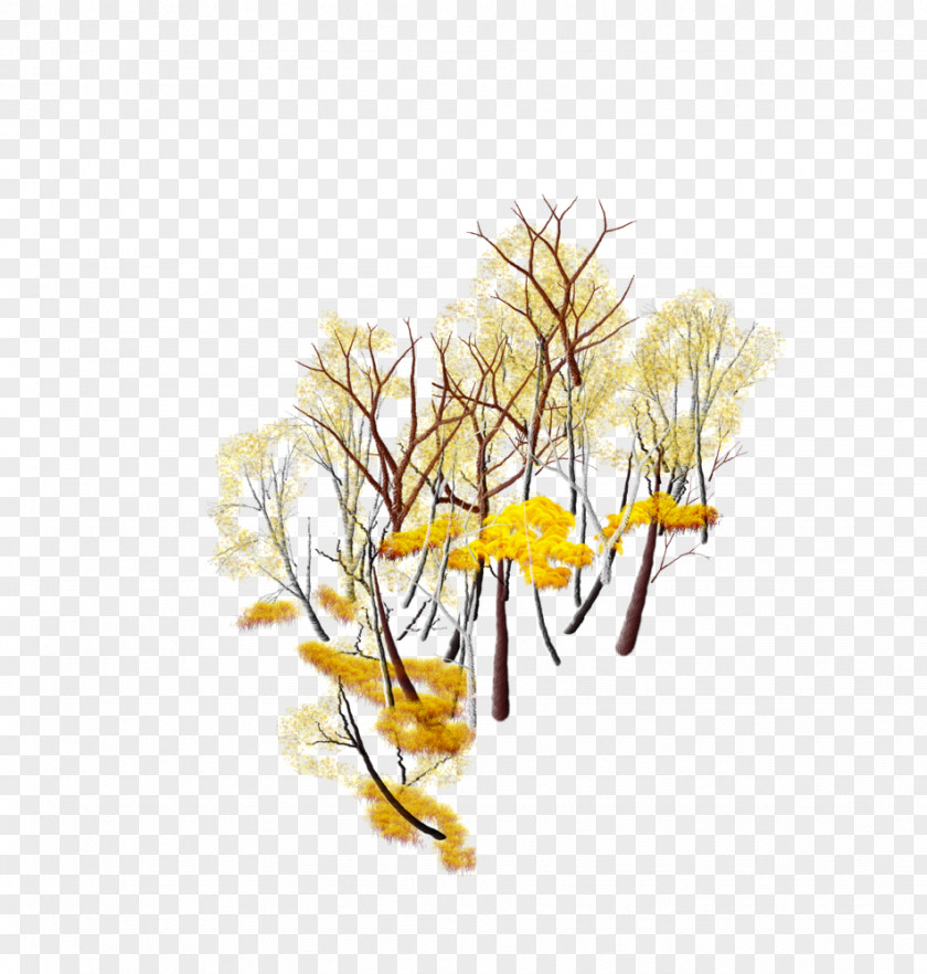 Leaf Twig Plant Stem Desktop Wallpaper PNG