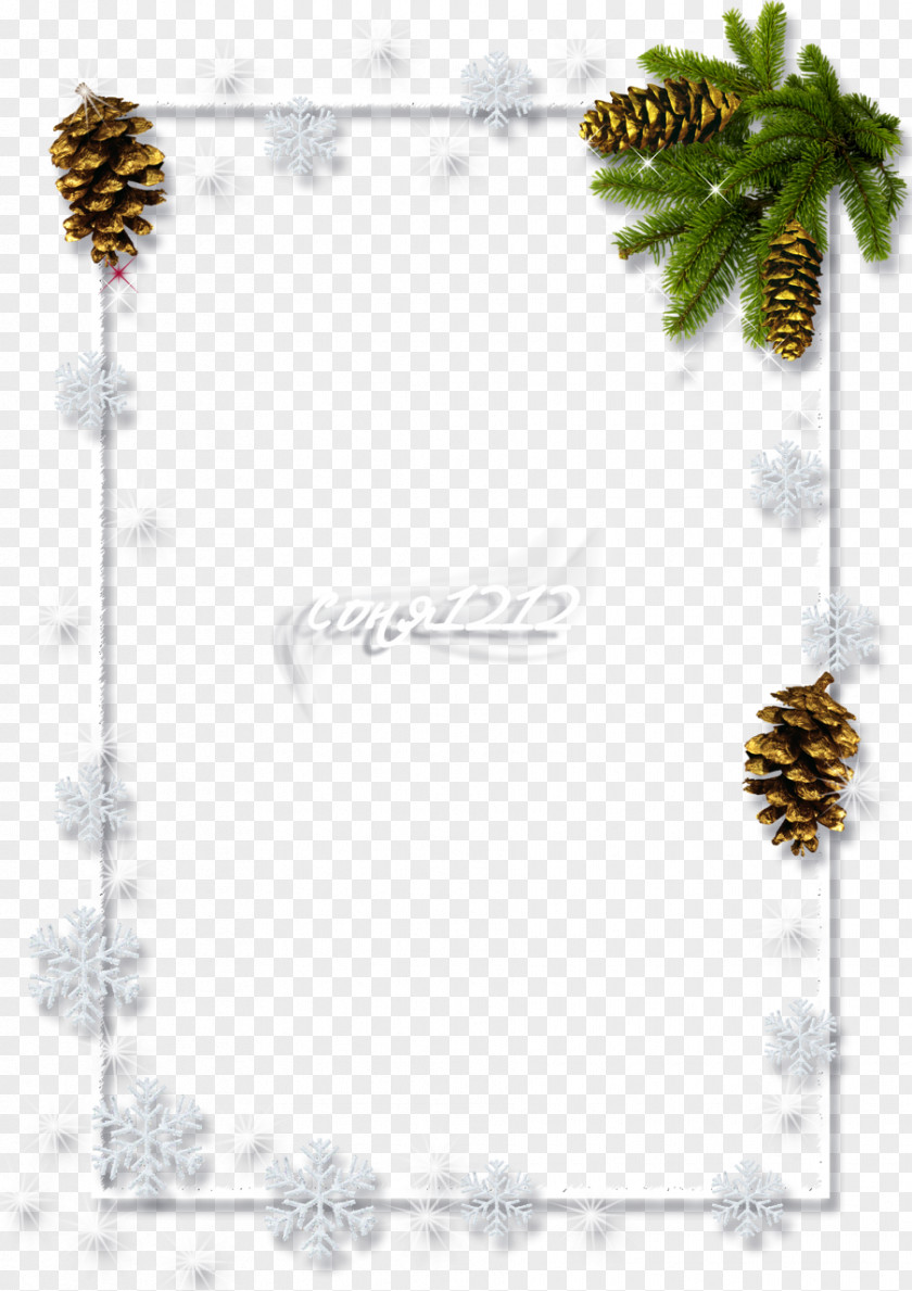 Christmas Spruce Ornament Towanda Picture Frames PNG