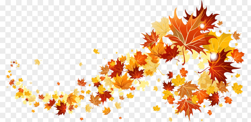 Maple Leaf Pattern Autumn Clip Art PNG