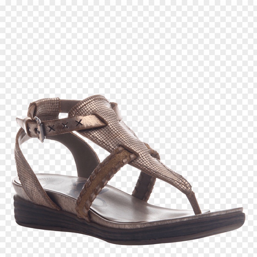 Sandal Wedge Shoe Boot Flip-flops PNG