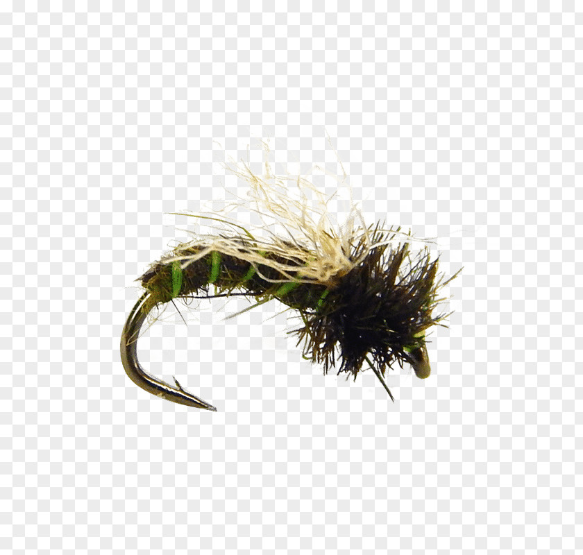 Fly Tying Caddisfly Fishing Pupa Insect Larva PNG