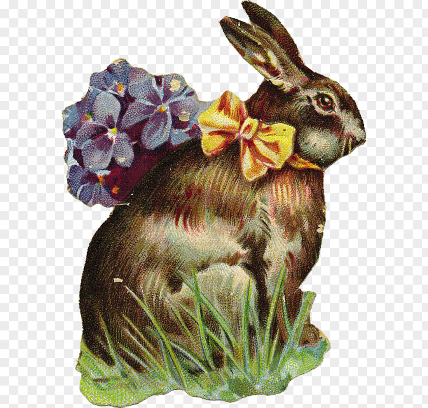 Hand Painted Vintage Lace Domestic Rabbit Hare Easter Bunny PNG