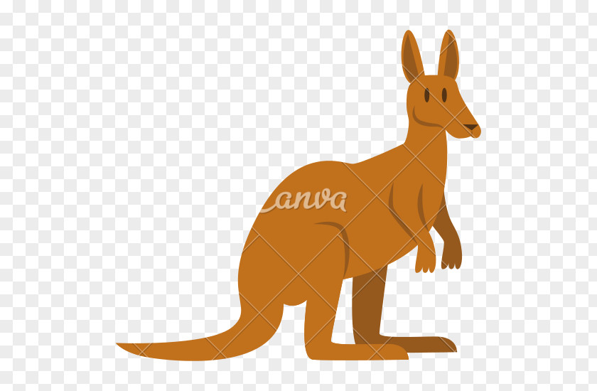 Kangaroo Red Fox Macropodidae Cartoon PNG
