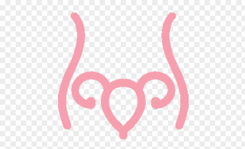 Woman Uterus Fallopian Tube Female Reproductive System Ovary PNG