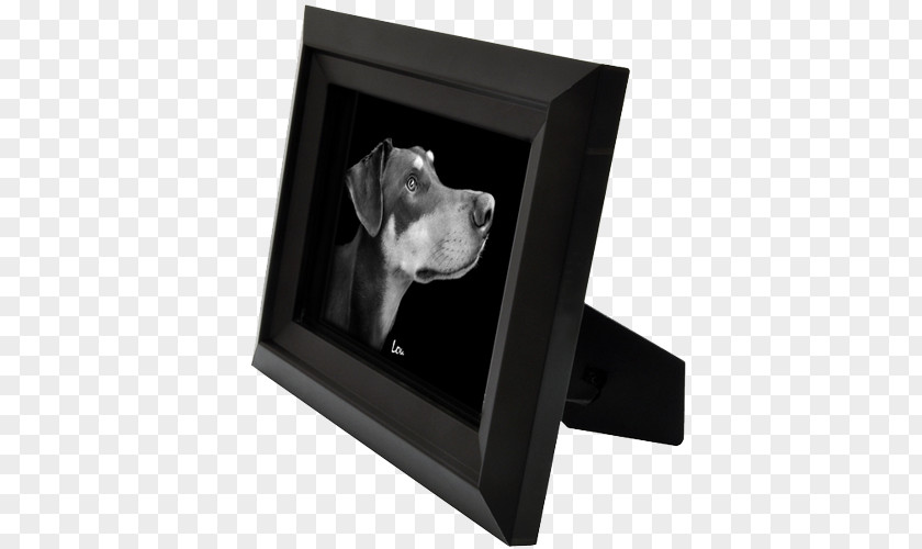 Dog Picture Frames PNG
