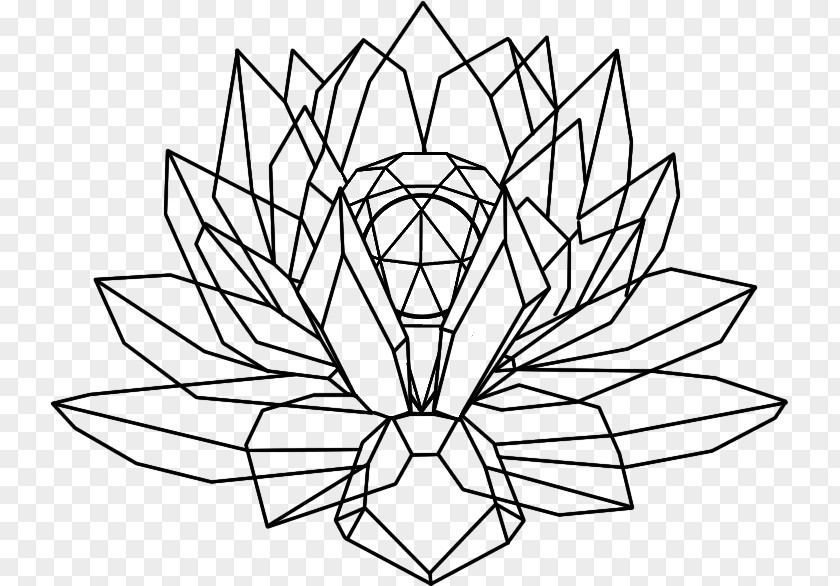 Dreamcatcher Flower Nelumbo Nucifera Crystal Drawing Line Art PNG