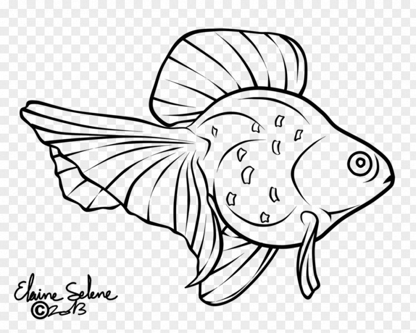 Fish Line Drawing /m/02csf Art Clip PNG
