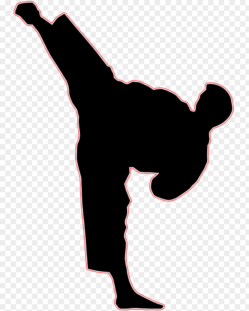 Mixed Martial Arts Clip Art Kick Karate PNG